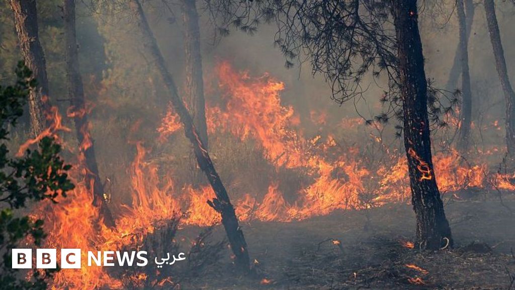 تحديث حصيلة حرائق الغابات في الجزائر: 12 وفاة وعشرات الإصابات وسط موجة حر شديدة