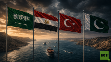 السعودية ومصر وتركيا وباكستان تؤكد أهمية حماية الممرات المائية في هرمز وباب المندب