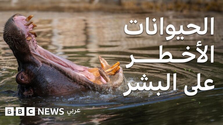 أخطر الكائنات الحية على الأرض: مفاجأة في الترتيب وأولها قد تصدمك