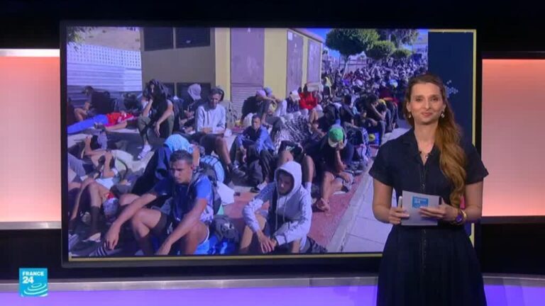 مزاعم مضللة تطال مهاجري سبتة: اتهامات بقتل وأكل القطط تُفند