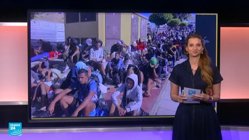 مزاعم مضللة تطال مهاجري سبتة: اتهامات بقتل وأكل القطط تُفند