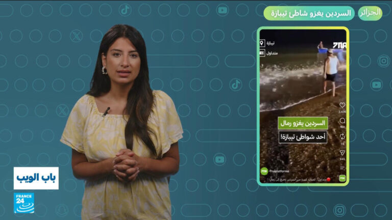 انتشار السردين على شواطئ تيبازة في الجزائر ضمن مجموعة وقائع إقليمية متنوعة