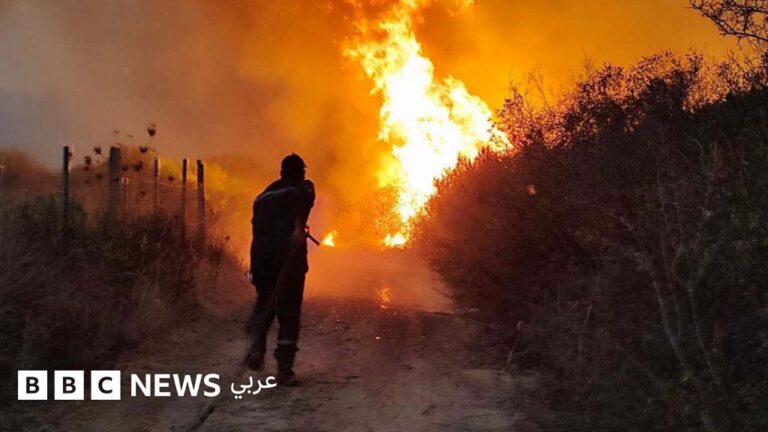 الرئيس الجزائري تبون يطالب بتعديل قانون العقوبات لإعدام مفتعلي حرائق الغابات