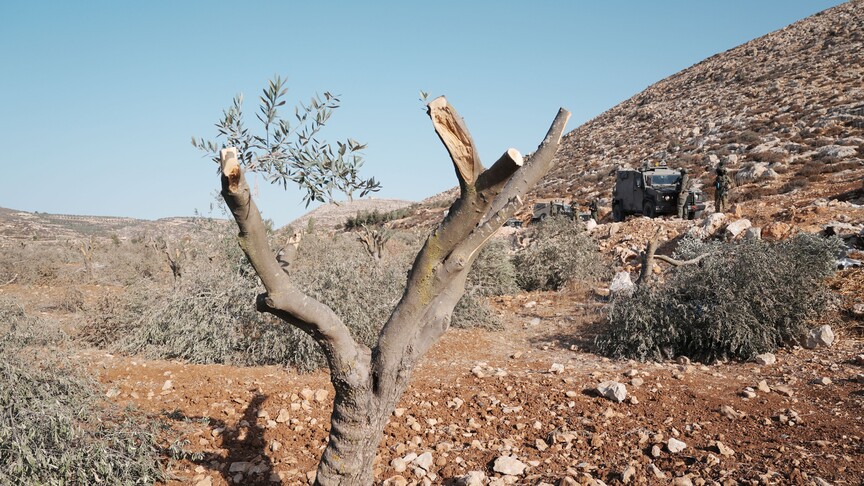 الجيش الإسرائيلي يستولي على منزل فلسطيني ويشارك المستوطنون في تخريب أراضٍ ومزروعات بالضفة الغربية