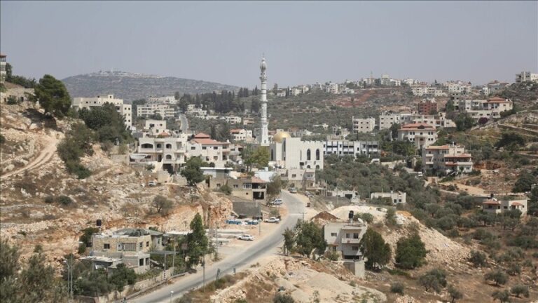 مستوطنون يهاجمون منازل ومحاصيل فلسطينية شمالي وجنوبي الضفة الغربية