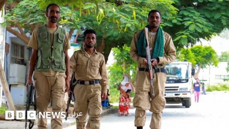 إثيوبيا تتهم مصر والسودان بدعم تحالف معارض وأطرافهما تنفي