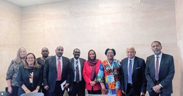 بعثة الأمم المتحدة لتقصي الحقائق تكشف عن تحقيقات مستمرة في الدعم الخارجي للجيش السوداني مع تقرير تكميلي مرتقب