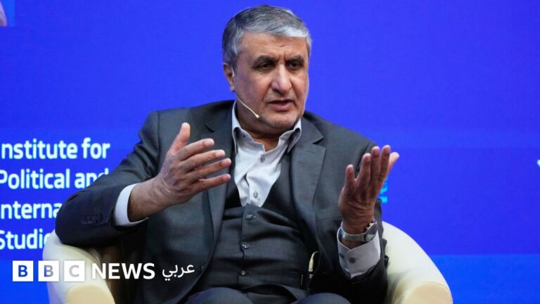 منع نائب الرئيس الإيراني للشؤون النووية من حضور مؤتمر الوكالة الدولية للطاقة الذرية