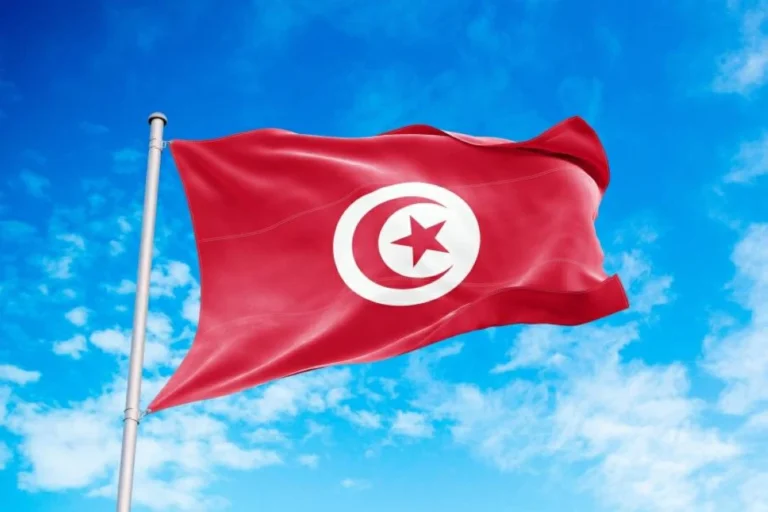 ارتفاع مبيعات السيارات في تونس بنسبة 13.8% خلال أول 8 أشهر من 2026