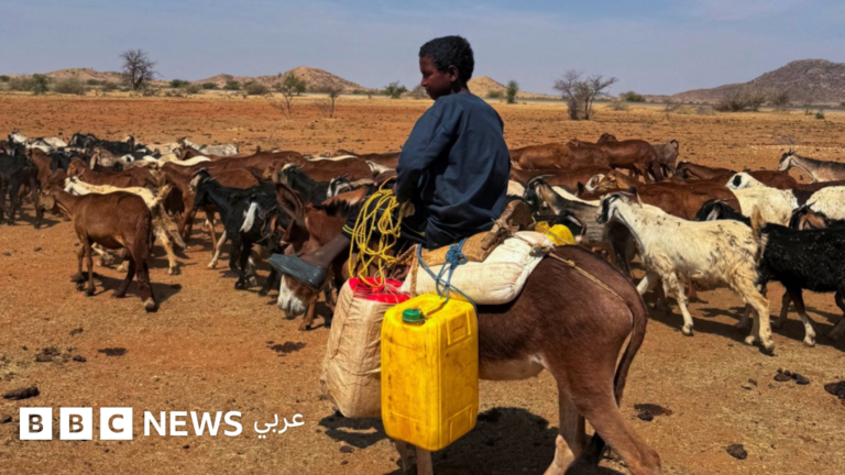 الجيش السوداني يعلن إسقاط طائرة مسيّرة انطلقت من إثيوبيا ويتقدم في شمال كردفان
