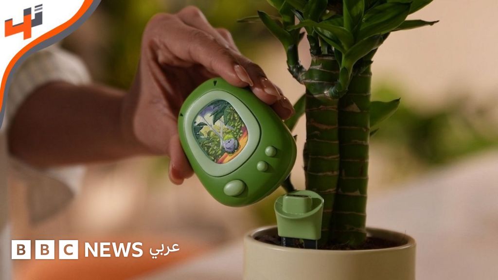 جهاز مبتكر يحول العناية بالنباتات إلى لعبة تفاعلية