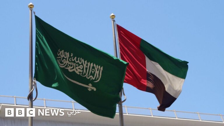 زيارة أخوية رفيعة المستوى بين السعودية والإمارات تعكس جهود تجاوز الخلافات