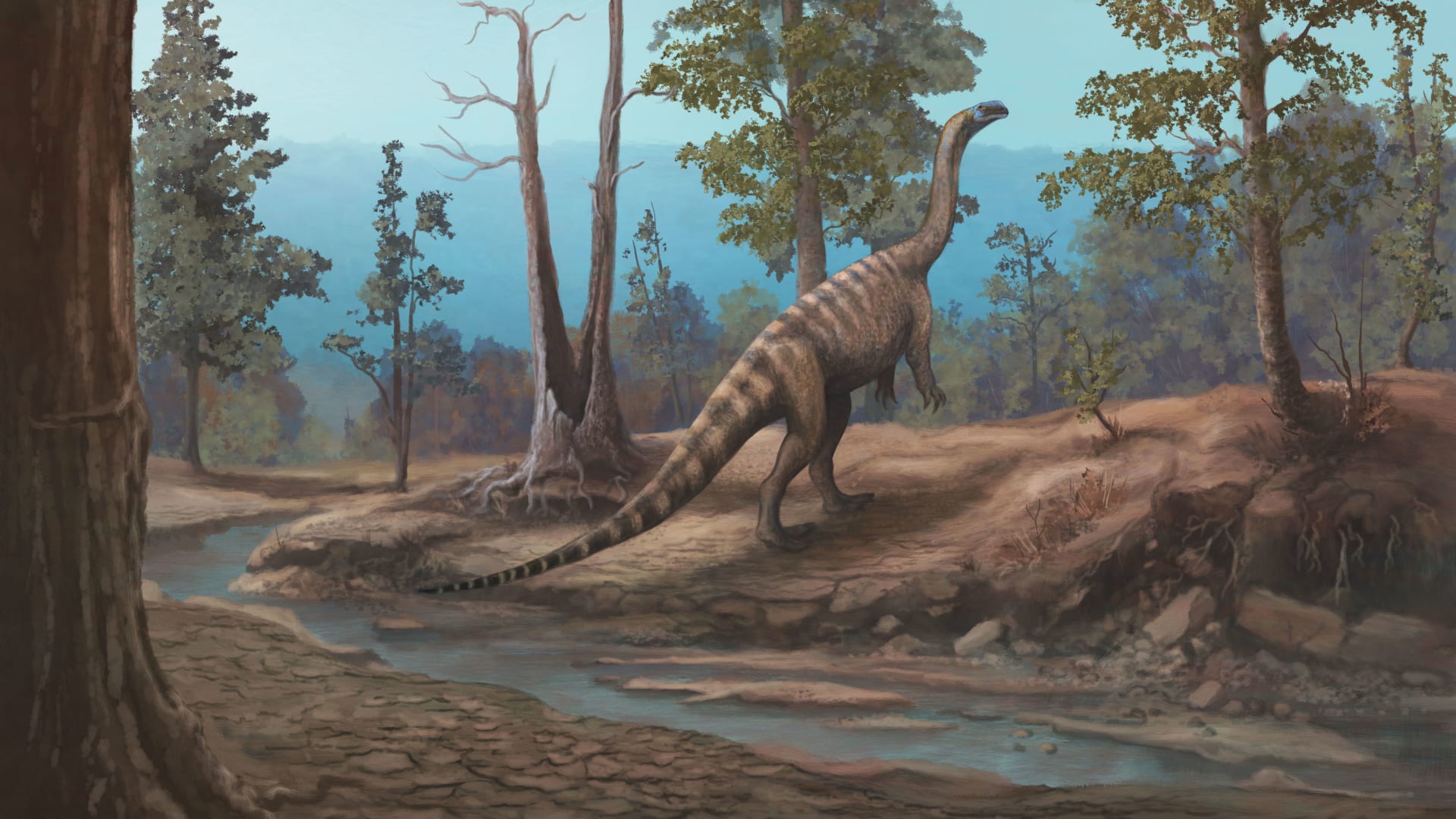 اكتشاف ديناصور جديد عمره 210 ملايين عام في مواطن أفراس النهر والتماسيح