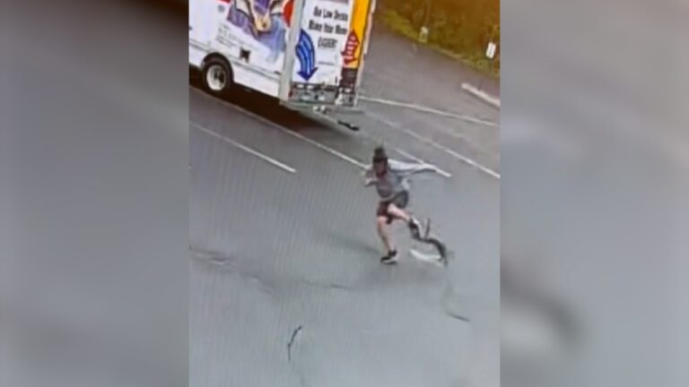 حيوان غامض يهاجم سكانًا في نيو هامبشاير والشرطة تستخدم طائرات مسيّرة لتعقبه