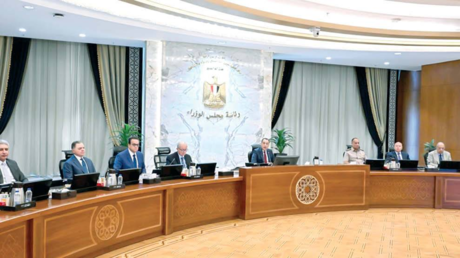 مجلس الوزراء يُوضح وضع أعضاء اللجان الاستشارية بعد أزمة قناة السويس