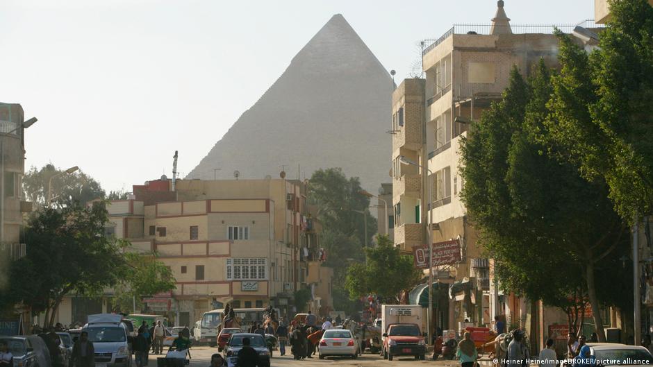 الجدل حول “مذبحة الأشجار” في مصر بين تدمير المساحات الخضراء ومبادرات التشجير الحكومية