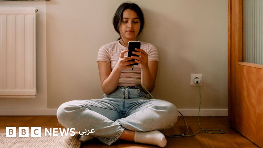 الاتحاد الأوروبي يقر خطة لتقييد وصول الأطفال إلى وسائل التواصل الاجتماعي لتأمين سلامتهم