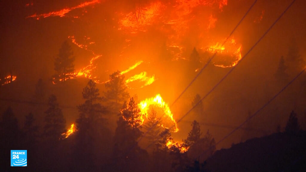 حرائق الغابات المدمرة هذا الصيف: الأسباب والحلول المحتملة