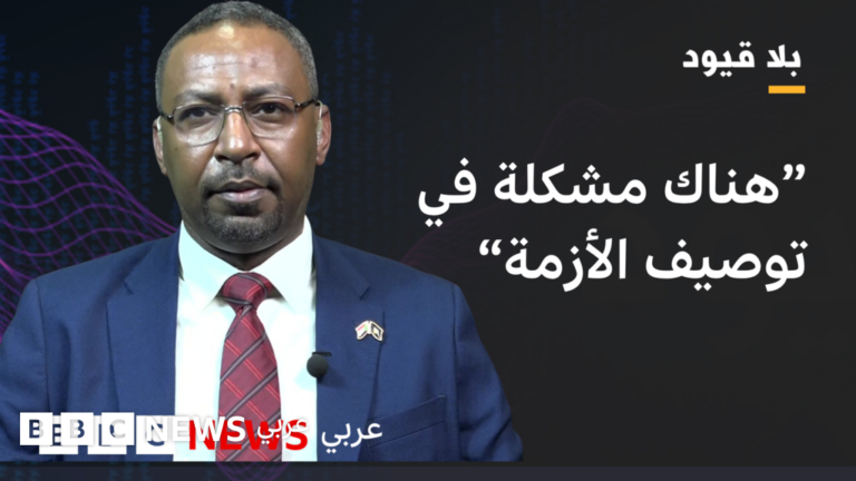 أمجد فريد ينفي اتهام أمريكا للجيش السوداني باستخدام أسلحة كيماوية ويؤكد محاسبة المخالفين