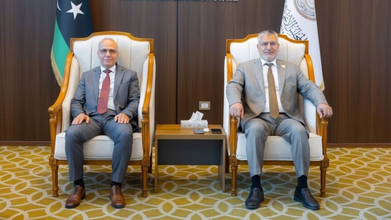 ليبيا: تكالة واللافي يؤكدان ضرورة “الملكية الليبية” للمسار السياسي واحترام الأطر القانونية