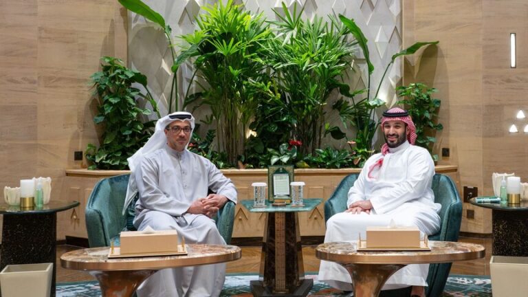ولي العهد السعودي ونائب رئيس الإمارات يبحثان تطورات الأوضاع في المنطقة