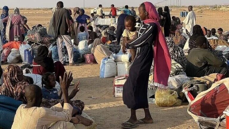 منظمة الهجرة الدولية: نزوح ألف شخص من شمال دارفور بالسودان بسبب تدهور الأمن