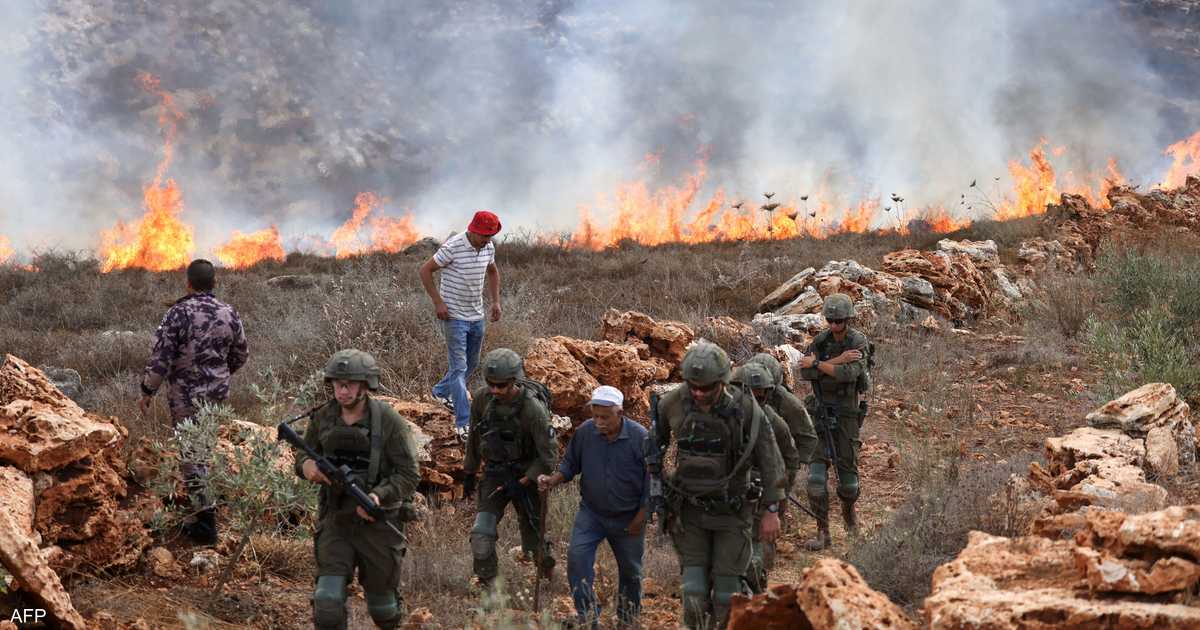 اندلاع اعتداءات مستوطنة على بساتين الزيتون الفلسطينية بدعم من الجيش في موسم القطاف