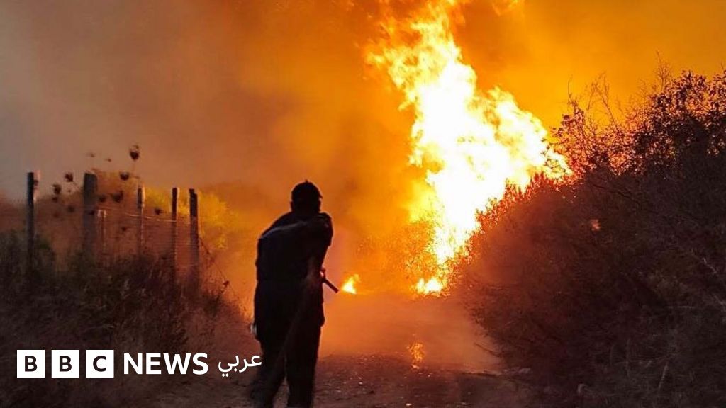 الجزائر تقر عقوبة الإعدام لمفتعلي حرائق الغابات واختطاف الأطفال