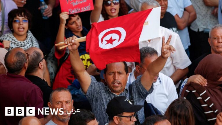 احتجاجات تونس الأكبر منذ سنوات ضد قيس سعيّد احتجاجاً على غلاء المعيشة وتقييد الحريات