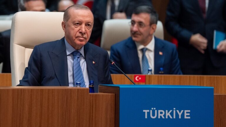 أردوغان يؤكد عدم إمكانية حل دائم في قبرص دون حماية حقوق القبارصة الأتراك
