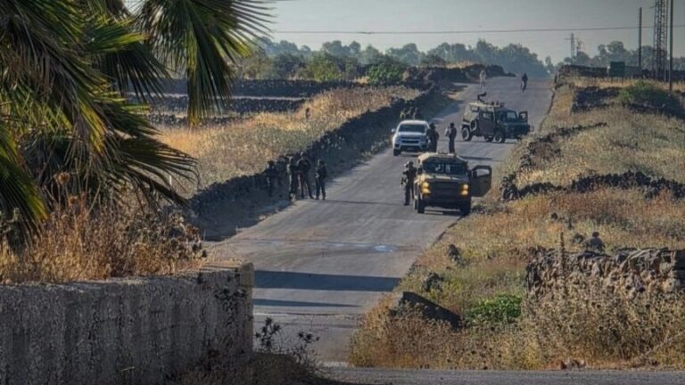 نفوق مواشٍ في القنيطرة جراء إطلاق الجيش الإسرائيلي النار على رعاة سوريين