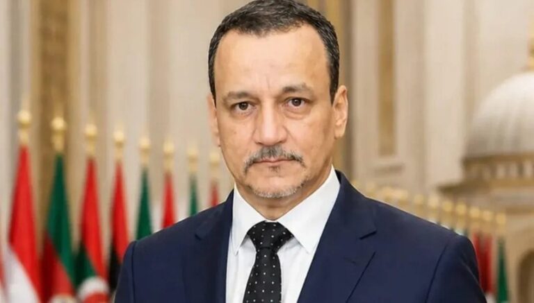 أمين التعاون الإسلامي يدين الاعتداءات على السعودية ويؤكد انتهاكها للسيادة والمقدسات