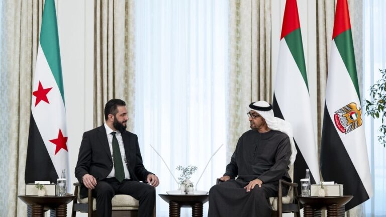 الرئيسان السوري والإماراتي يبحثان تعزيز العلاقات والتعاون الاقتصادي