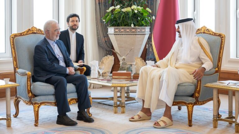 أمير قطر ووزير الداخلية الإيراني يبحثان جهود خفض التصعيد في المنطقة