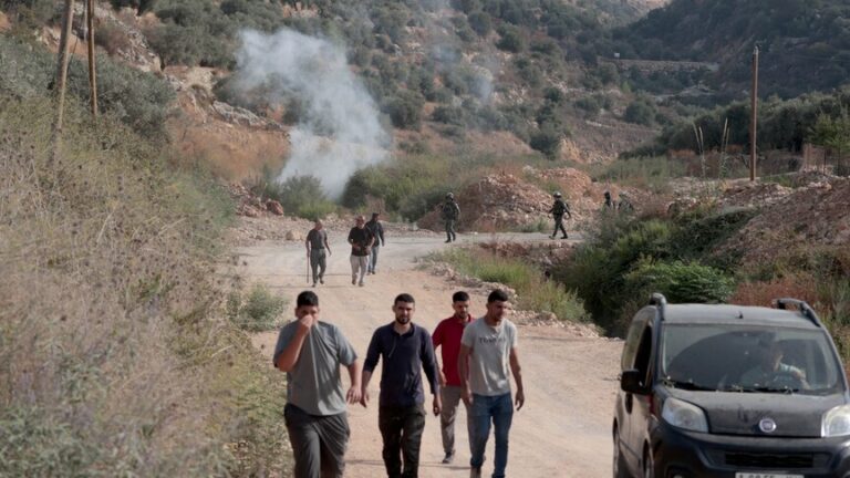 اختطاف 7 فلسطينيين وإصابة 4 خلال اعتداءات المستوطنين في موسم قطف الزيتون بالضفة الغربية