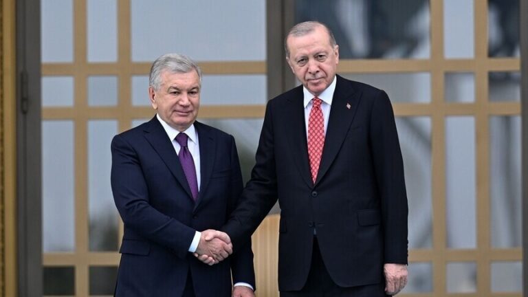 أردوغان وميرضيائيف يبحثان تعزيز التعاون الثنائي وقضايا إقليمية ودولية